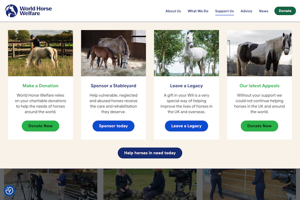 World Horse Welfare website image